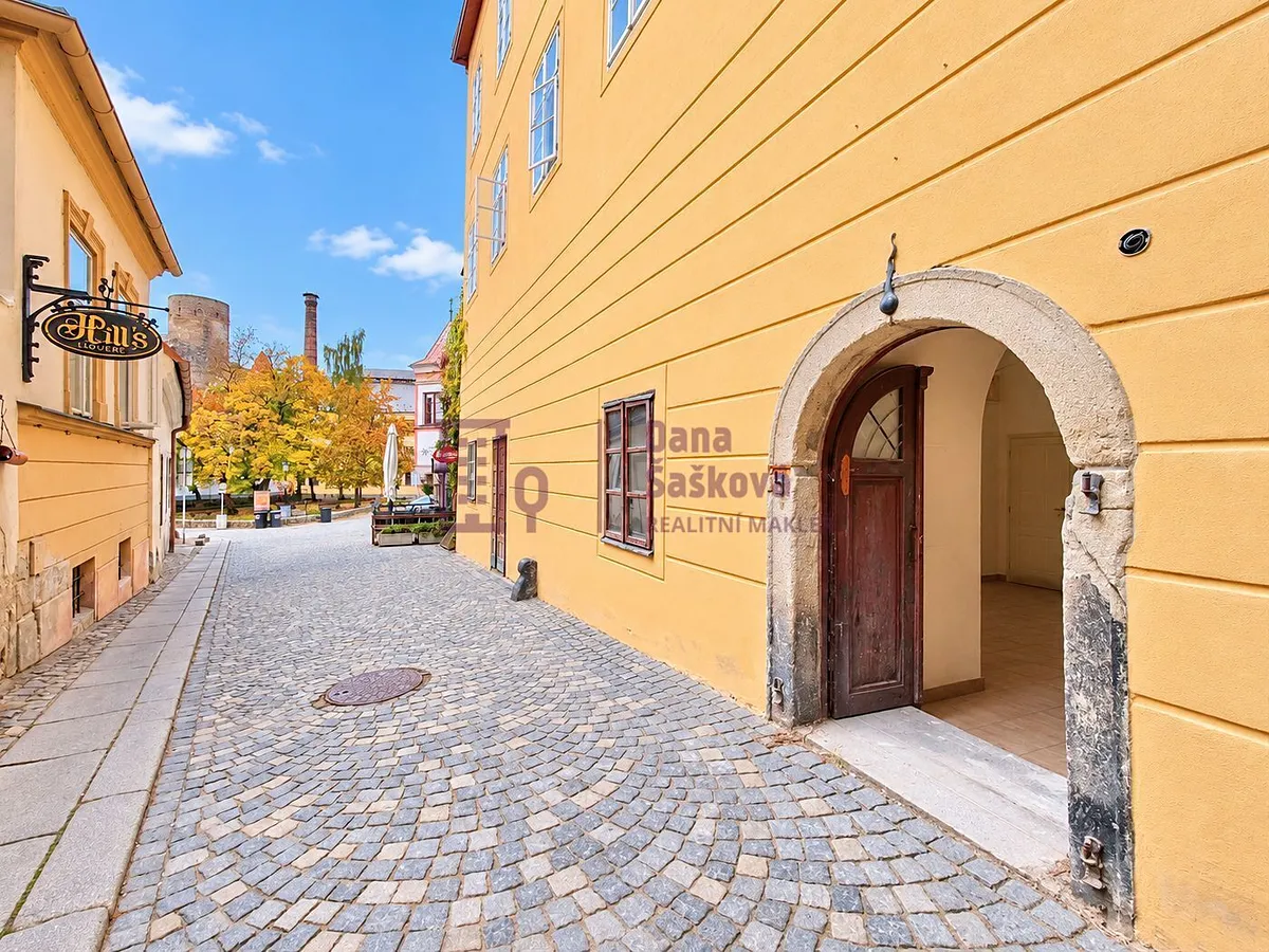 Pronájem obchodního prostoru 41 m²