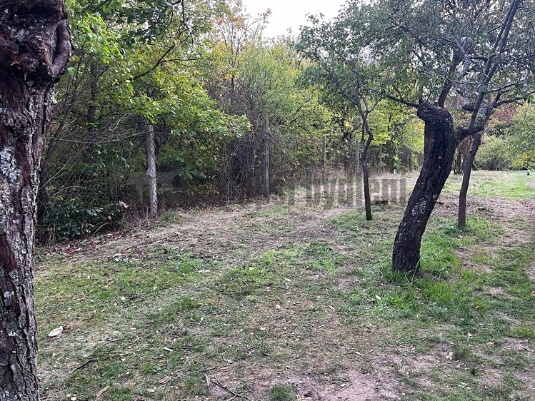 Ostatní