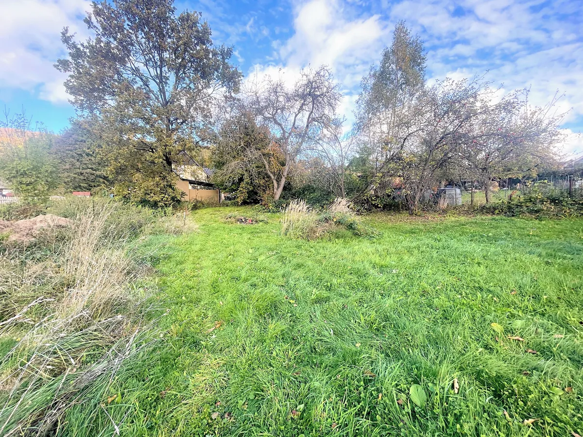 Fotka 17 z 17