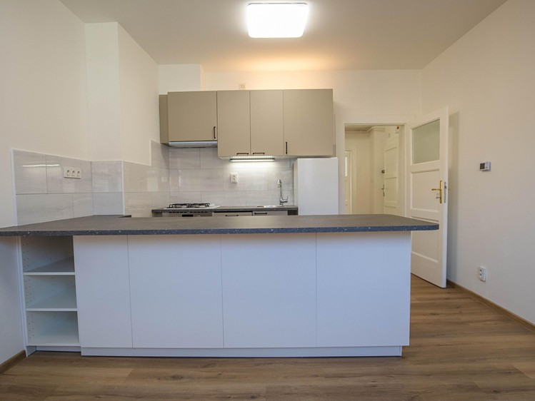 Wohnung 3+kk zur Miete, 64 m² (3 von 30)