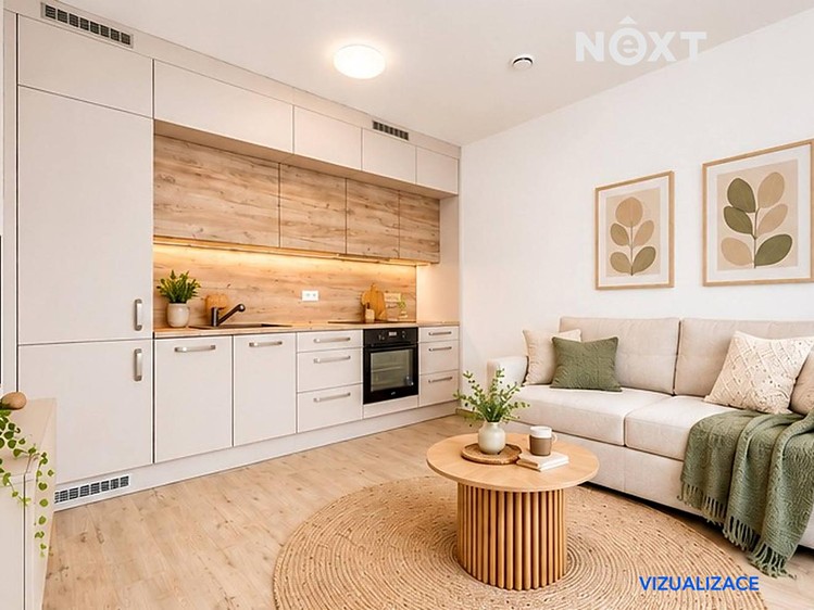 Pronájem bytu 1+kk, 23 m² (1 z 15)