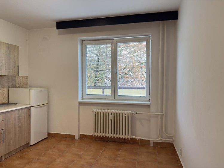 Wohnung 1+1 zur Miete, 45 m² (5 von 15)