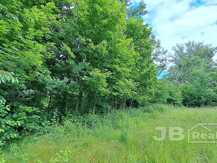 Grundstück zum Kauf, 3.307 m² (3 von 11)
