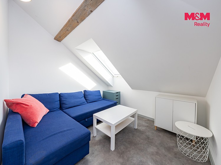 Prodej komerčního prostoru, 336 m² (3 z 30)