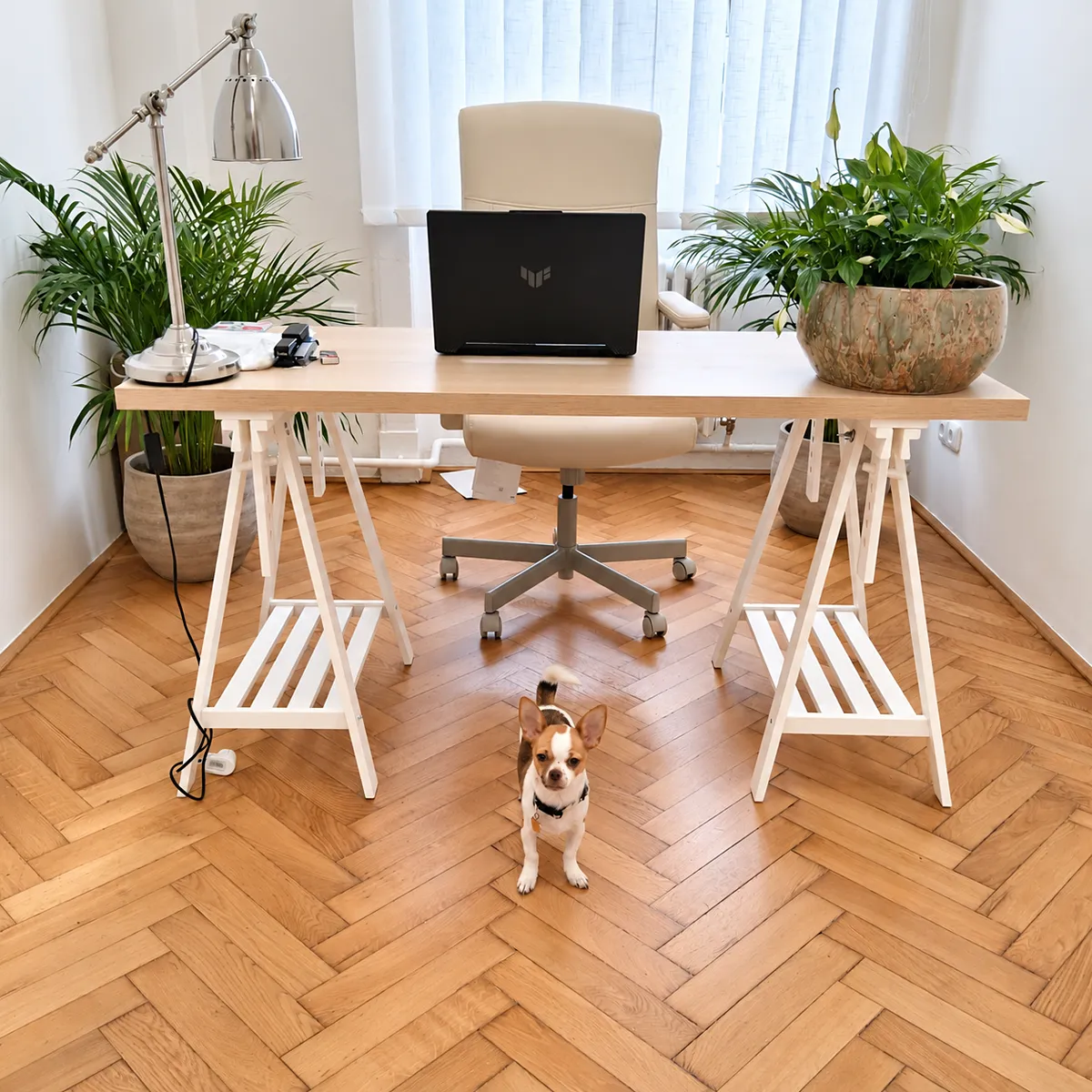 Pronájem kanceláře 14 m²