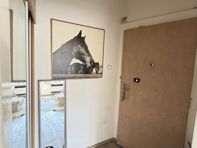 Prodej bytu 2+kk, 47 m² (12 z 17)