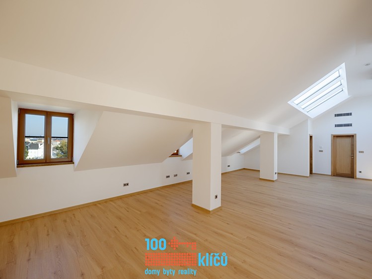 Wohnung 3+1 zur Miete, 180 m² (8 von 17)