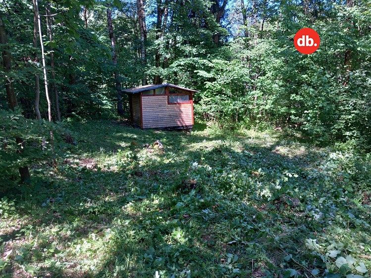 Grundstück zum Kauf, 3.609 m² (4 von 14)