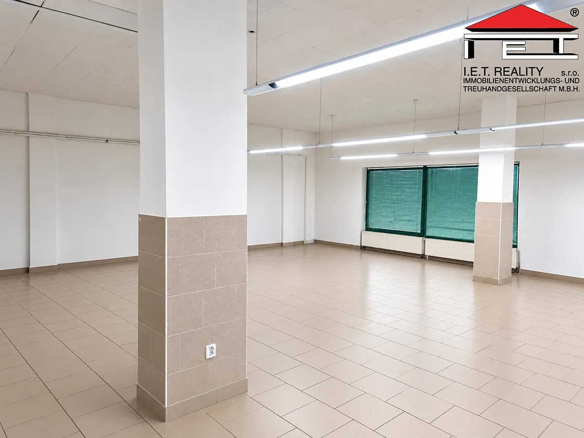 Pronájem obchodního prostoru 177 m²