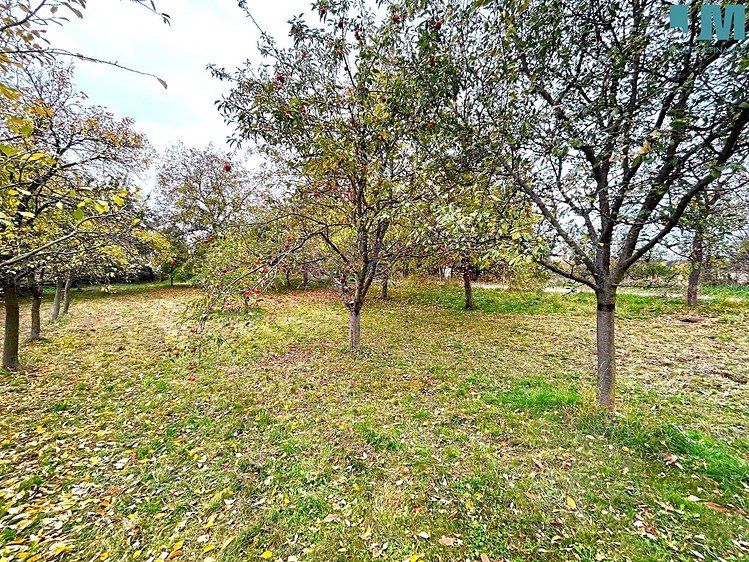 Pronájem pozemku, 173 500 m² (13 z 17)