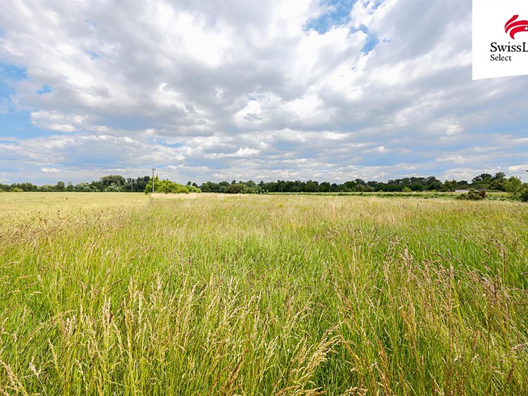 Grundstück zum Kauf, 2.032 m² (5 von 19)