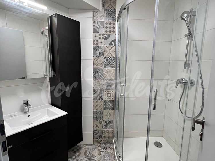 Wohnung 3+kk zur Miete, 58 m² (5 von 9)