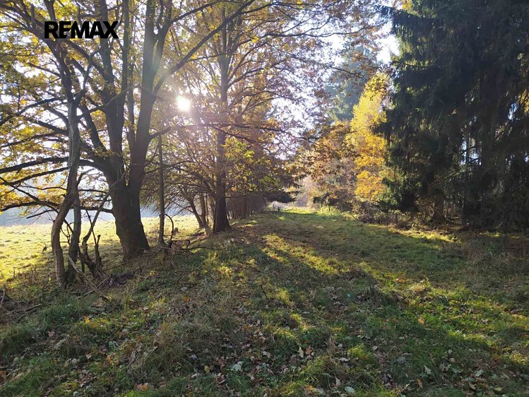Grundstück zum Kauf, 20.332 m² (14 von 17)