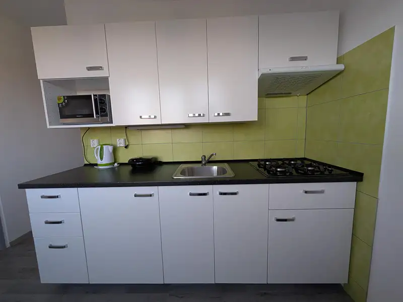 Pronájem bytu 1+1, 36 m², Sokolov, Habartov