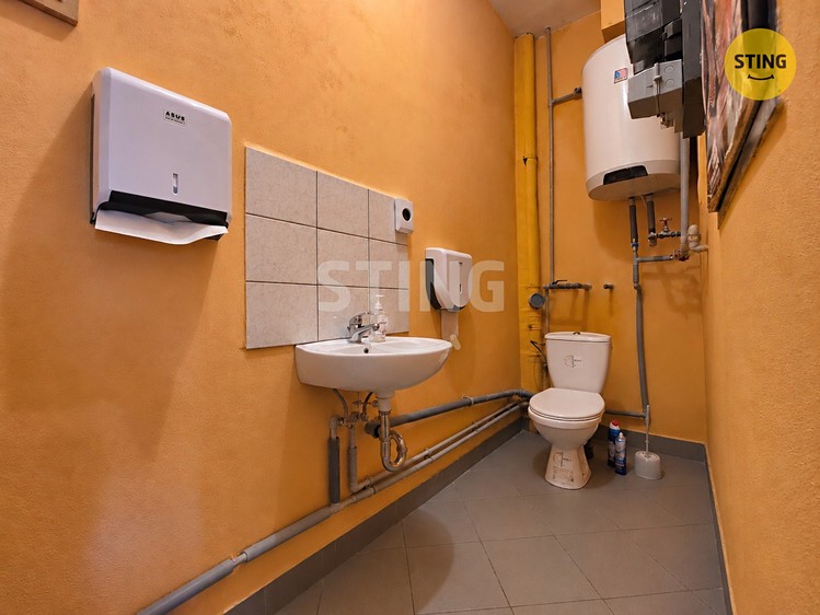 Комерційне приміщення в оренду, 115 м² (14 з 16)