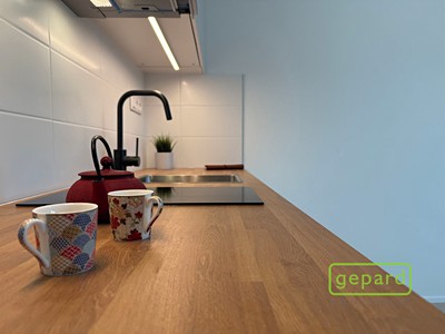 Квартира 1+kk в оренду, 25 м² (2 з 19)