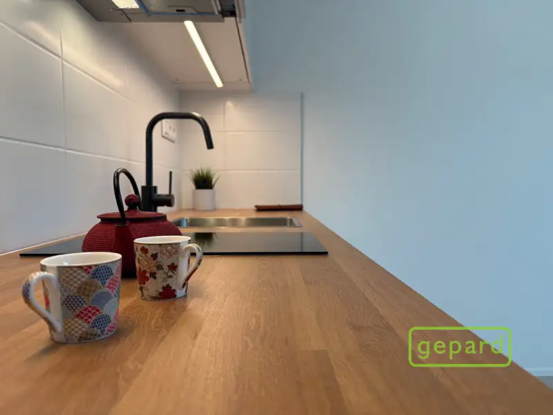 Pronájem bytu 1+kk 25 m², Mohelnice – náhled fotky 2
