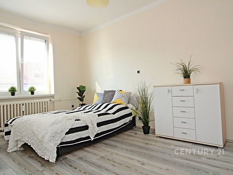 Pronájem bytu 2+1, 52 m² (4 z 29)