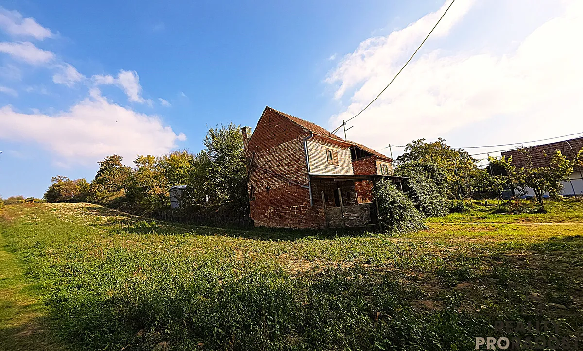Fotka 12 z 17