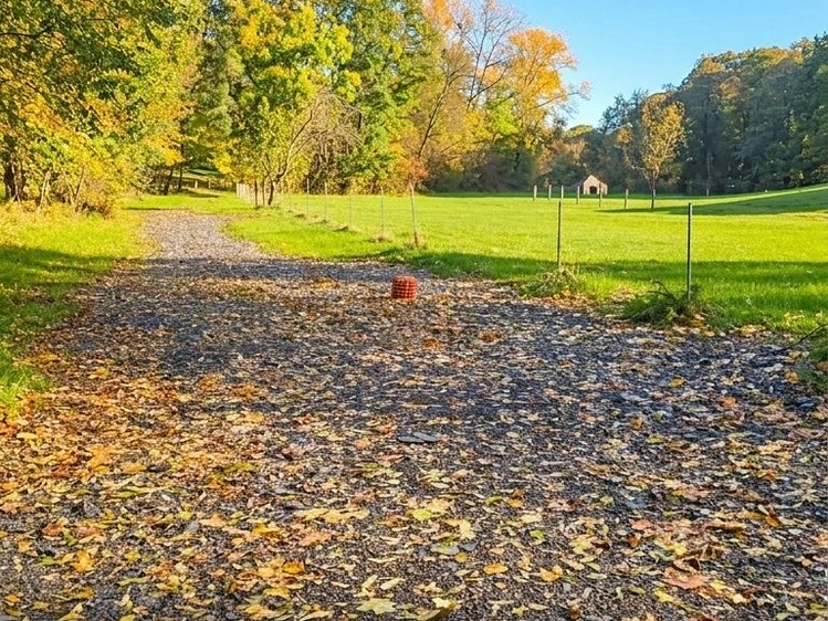 Grundstück zum Kauf, 622 m² (5 von 8)