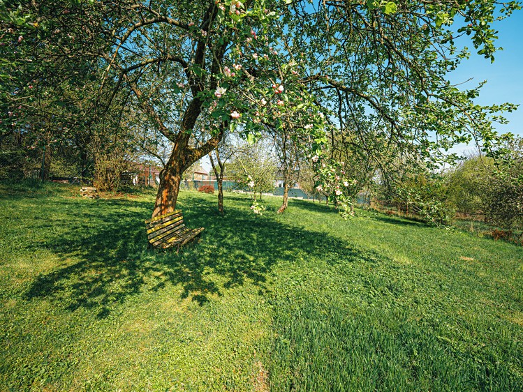 Prodej pozemku, 1 301 m² (4 z 12)