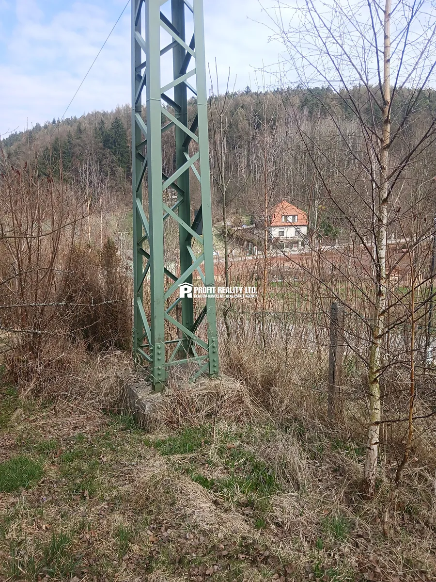 Fotka 10 z 17