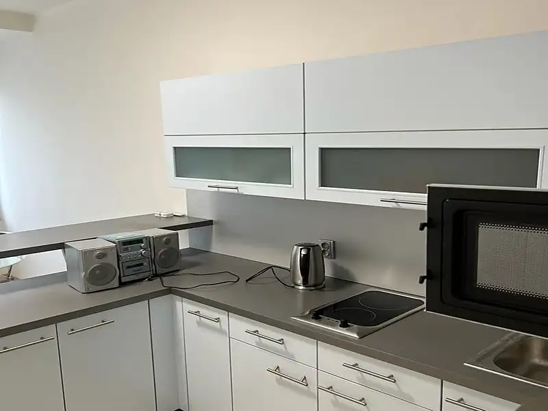 Pronájem bytu 2+kk 46 m², Praha – náhled fotky 1