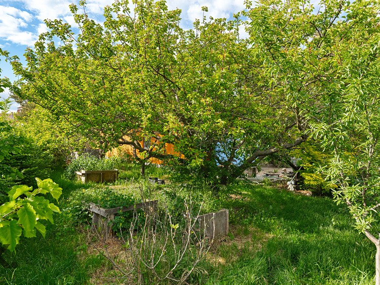 Grundstück zum Kauf, 1.193 m² (26 von 33)