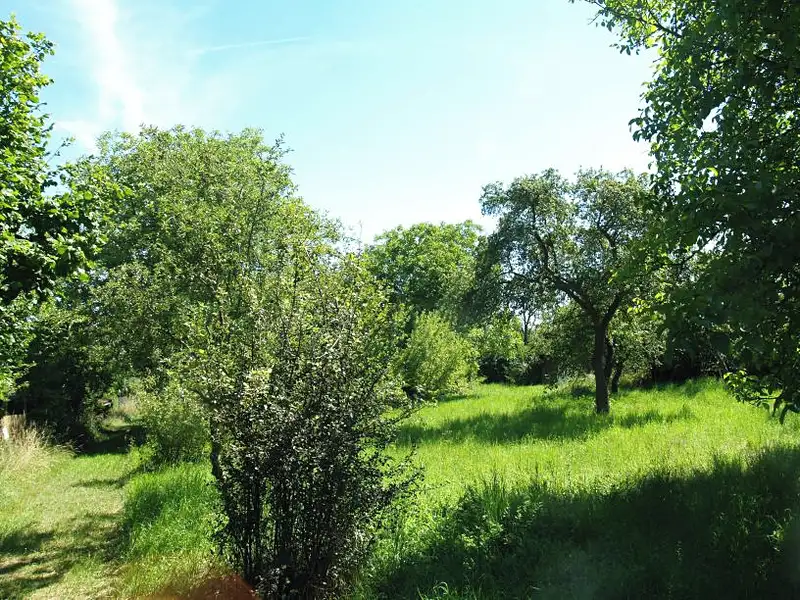 Prodej stavebního pozemku 1635 m², Praha – náhled fotky 2
