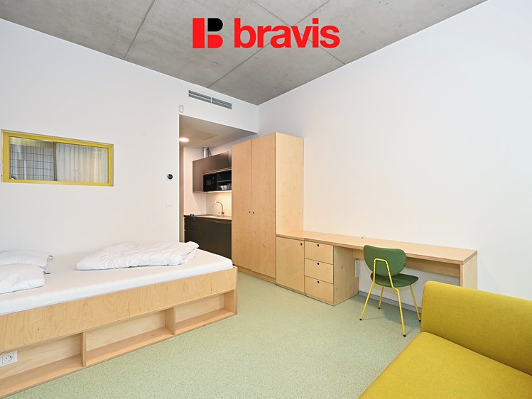 Pronájem bytu 1+kk, 24 m² (14 z 15)