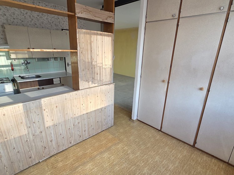 Prodej bytu 3+1, 69 m² (2 z 21)