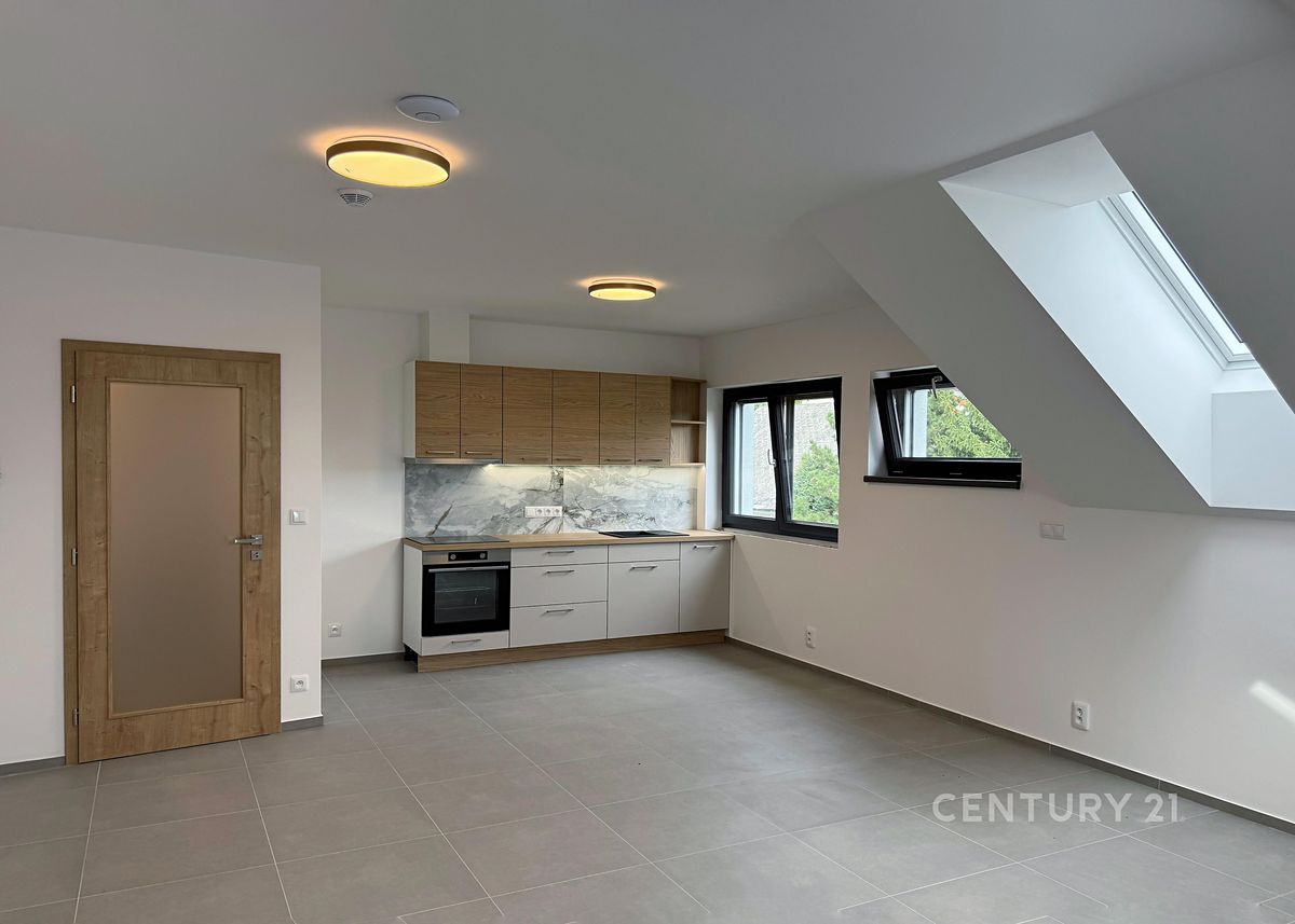 Pronájem bytu 1+kk 43 m²