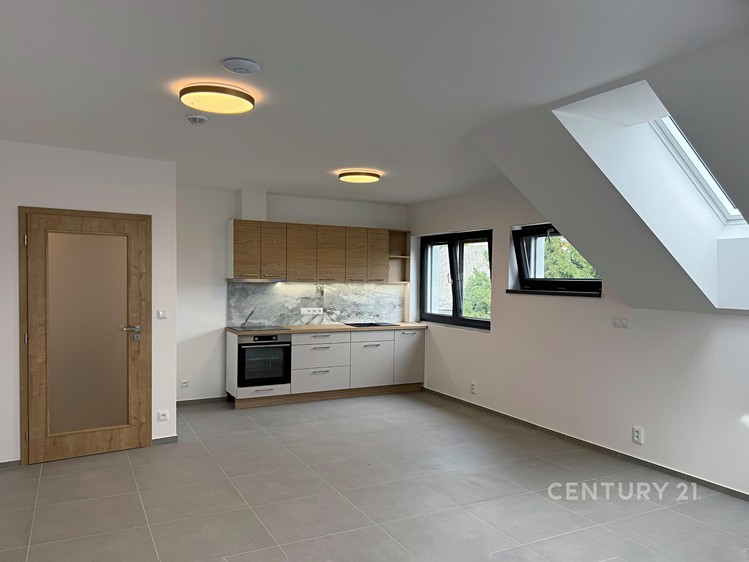 Wohnung 1+kk zur Miete, 43 m² (1 von 7)