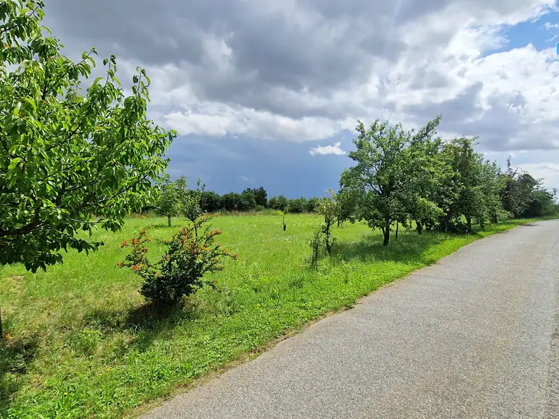 Prodej stavebního pozemku 3572 m², Rešice – náhled fotky 2