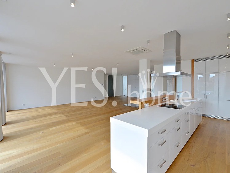 Wohnung 4+kk zur Miete, 229 m² (5 von 30)
