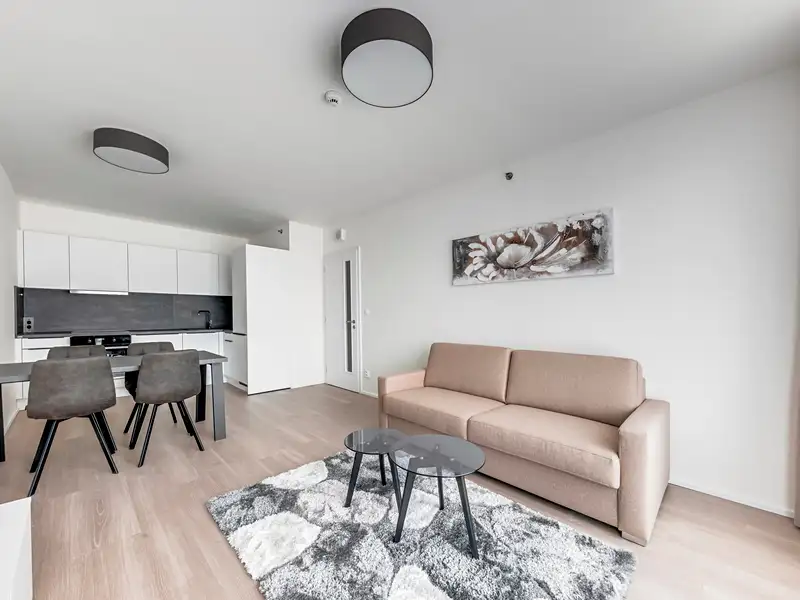 Pronájem bytu 2+kk 53 m², Praha – náhled fotky 1