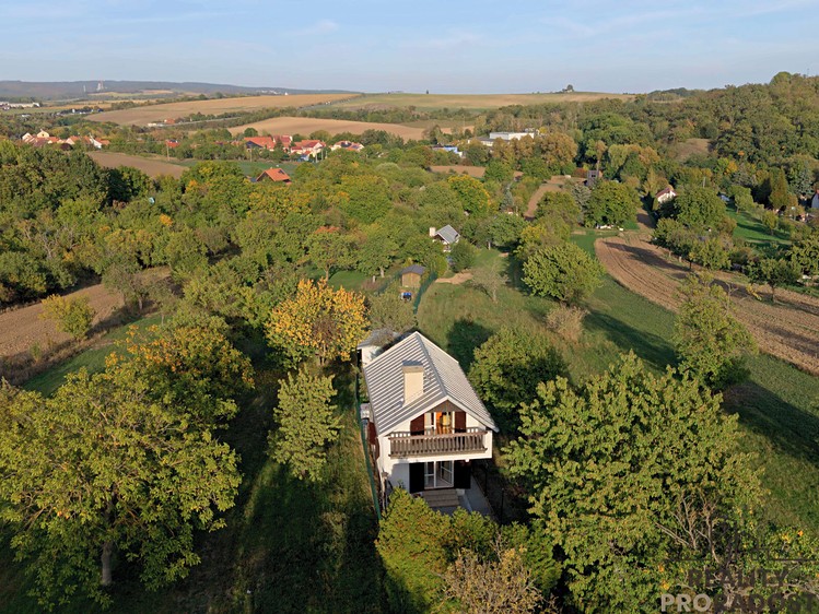 Ostatní