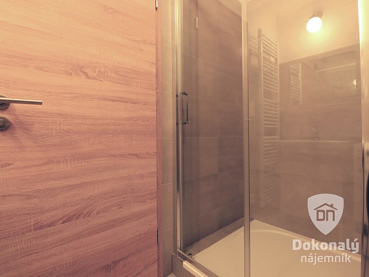 Wohnung 1+kk zur Miete, 25 m² (8 von 18)