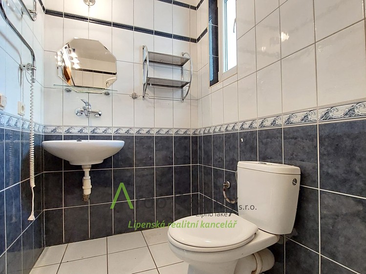 Prodej domu, 266 m² (15 z 47)