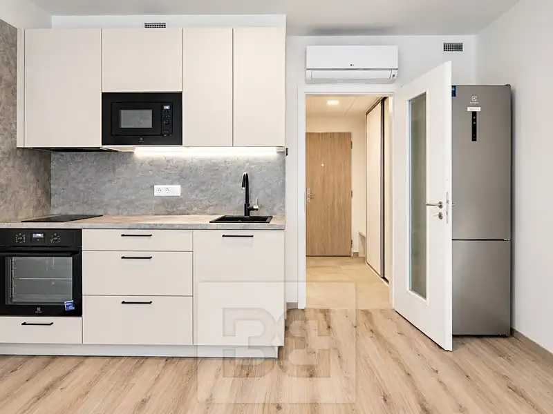 Pronájem bytu 1+kk 32 m², Praha – náhled fotky 2