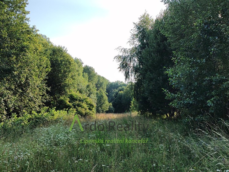 Prodej pozemku, 2 024 m² (6 z 31)