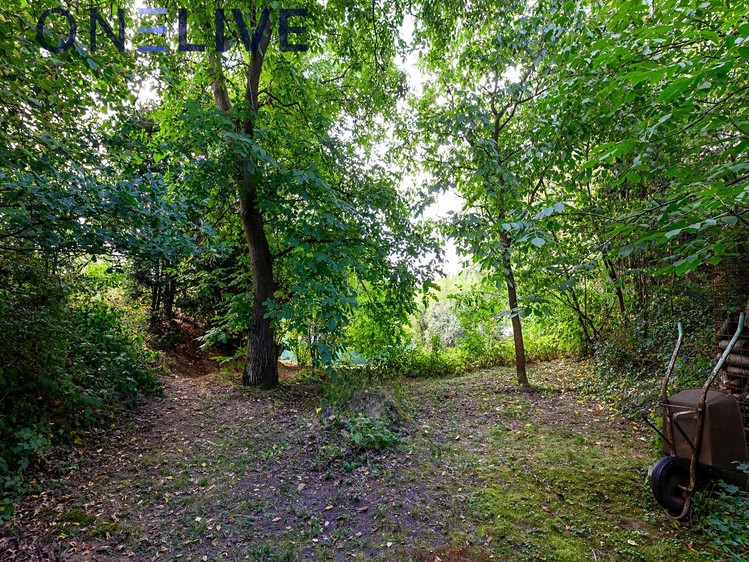 Grundstück zum Kauf, 1.443 m² (11 von 20)