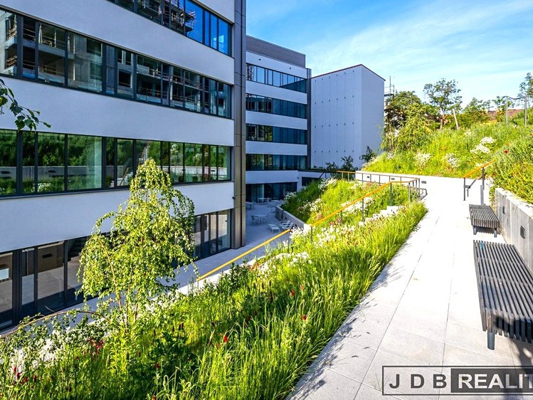 Комерційне приміщення в оренду, 25 м² (11 з 13)