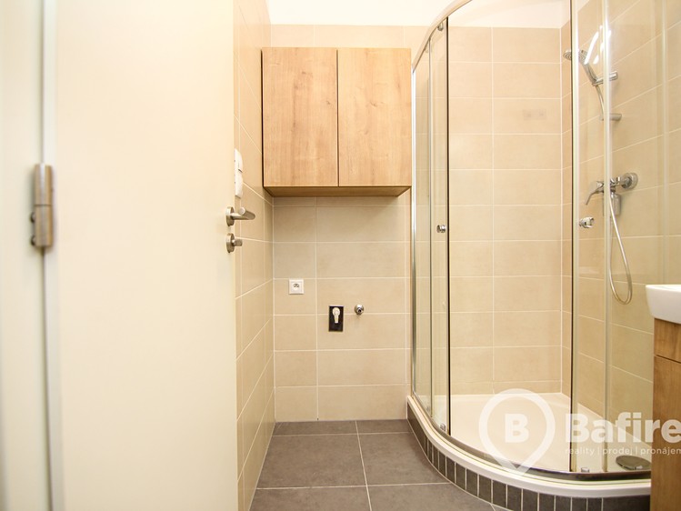 Квартира 1+kk в оренду, 33 м² (13 з 13)