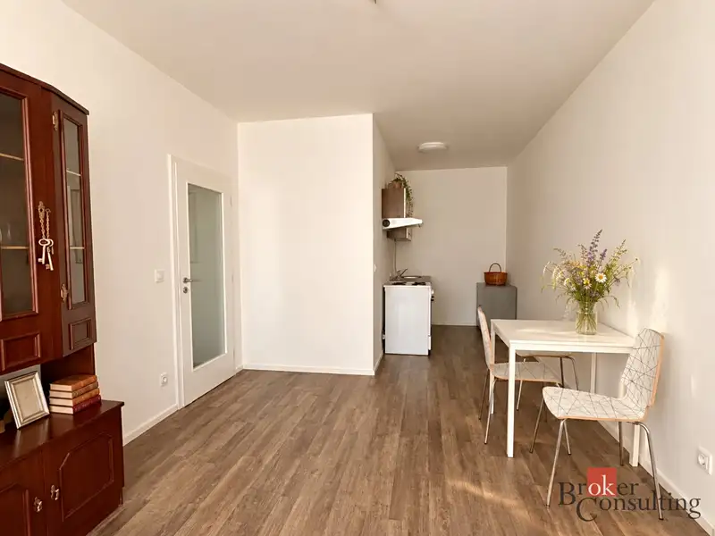 Pronájem bytu 2+kk 61 m², Praha – náhled fotky 3