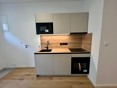 Pronájem bytu 2+1, 61 m² (2 z 15)