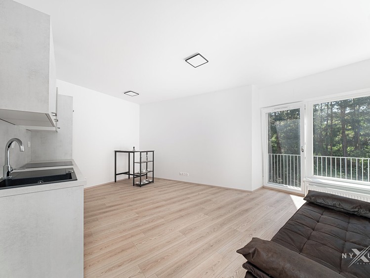 Квартира 1+kk в оренду, 30 м² (1 з 14)