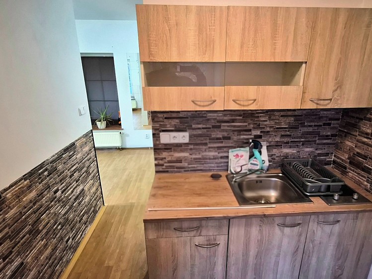Pronájem bytu 1+kk, 30 m² (6 z 15)