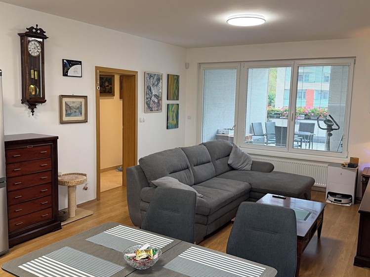 The 2+kk flat for sale, 63 m² (11 of 31)
