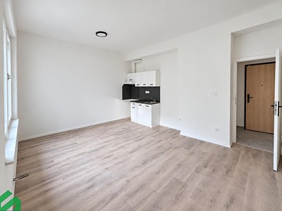 The 1+kk flat for rent, 30 m² (2 of 8)